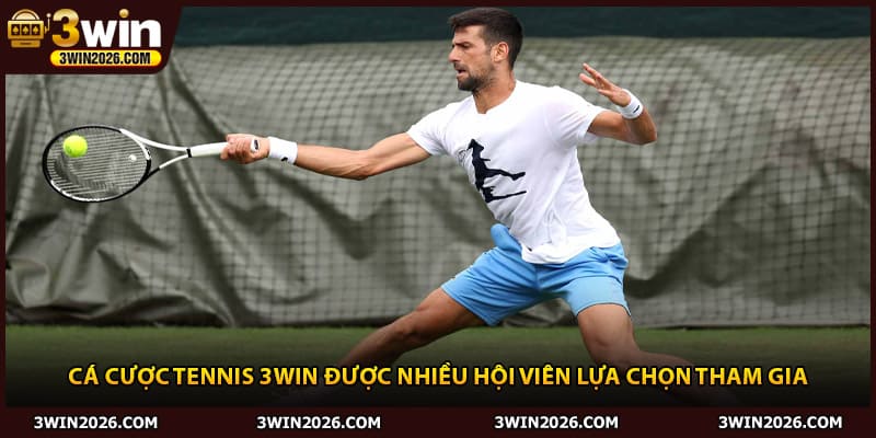 Cá cược tennis 3win được nhiều hội viên lựa chọn tham gia