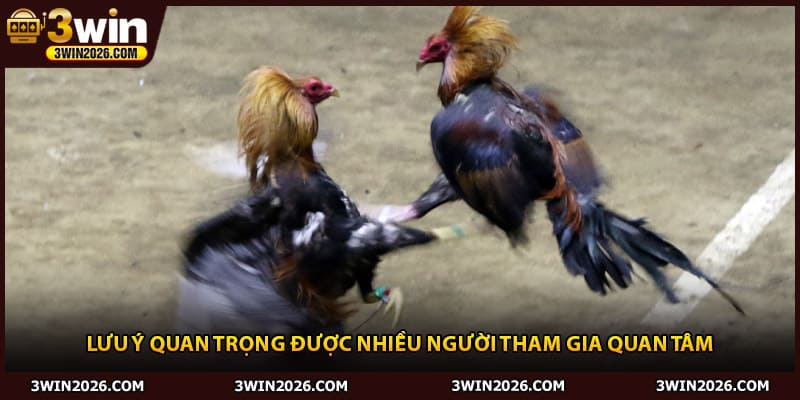 Lưu ý quan trọng được nhiều người tham gia quan tâm